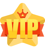 VIP Bonus